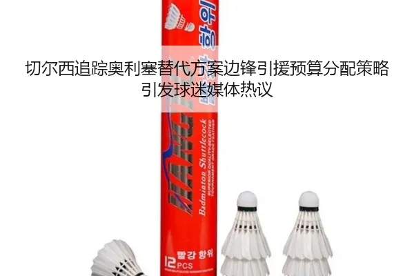 qie-er-xi-zhui-zong-ao-li-sai-ti-dai-fang-an-bian-feng-yin-yuan-yu-suan-fen-pei-ce-lve-yin-fa-qiu-mi-mei-ti-re-yi-2-296.jpg