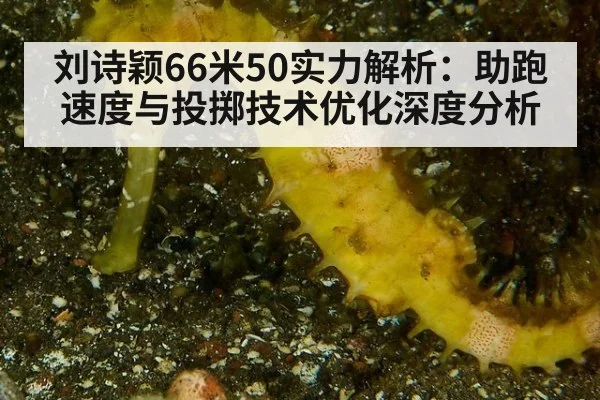 刘诗颖66米50实力解析：助跑速度与投掷技术优化深度分析